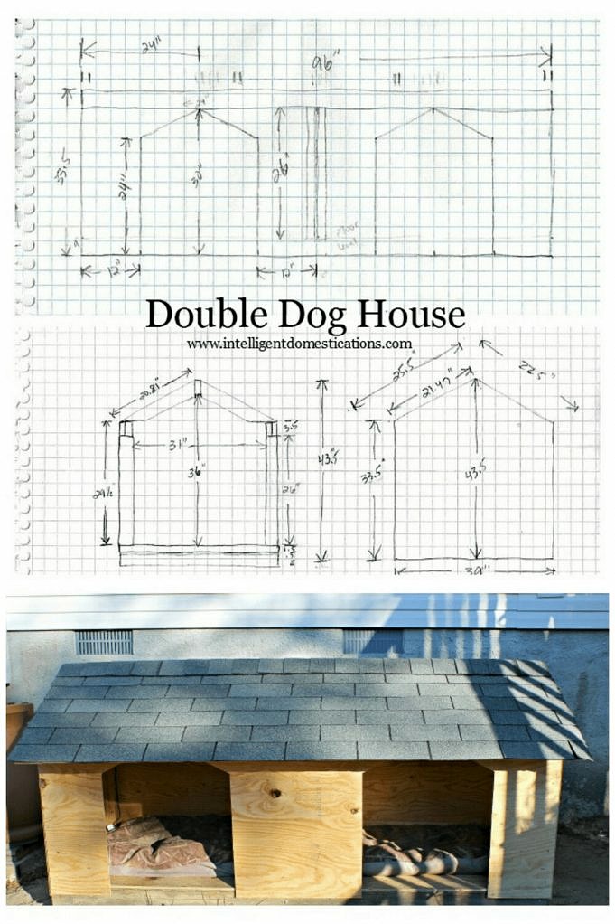 5 Dog House Plans For 2 Large Dogs Building A Huge Dog House